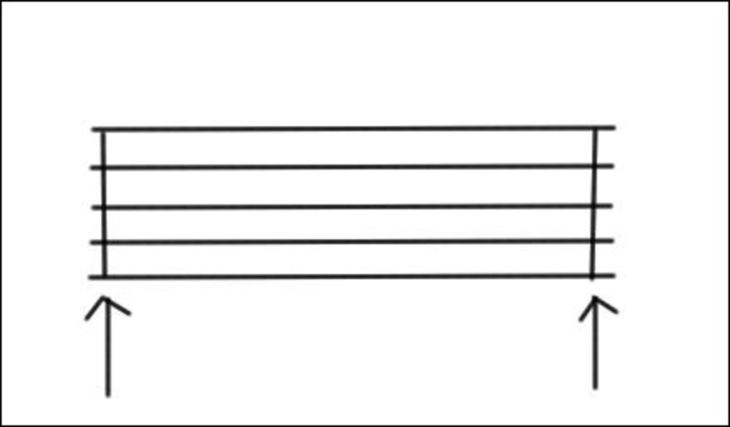 <p>the space between bar lines</p>