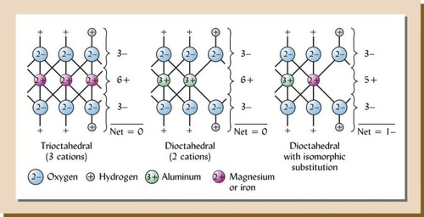 <p>They consist of oxygen (O) or hydroxyl (OH) bonded to aluminum (Al), magnesium (Mg), or iron (Fe).</p>