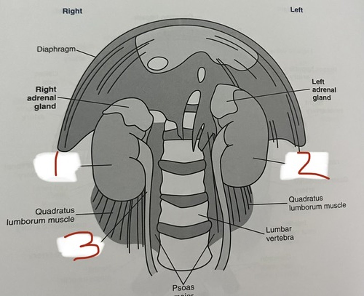 <p>1</p>
