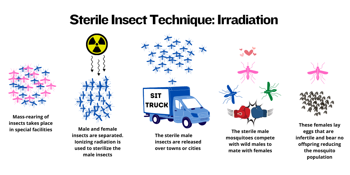 <p>Sterile insect technique, habitat management, quarantine suspect animals, prompt treatment of wounds, and veterinary check before herd addition</p>