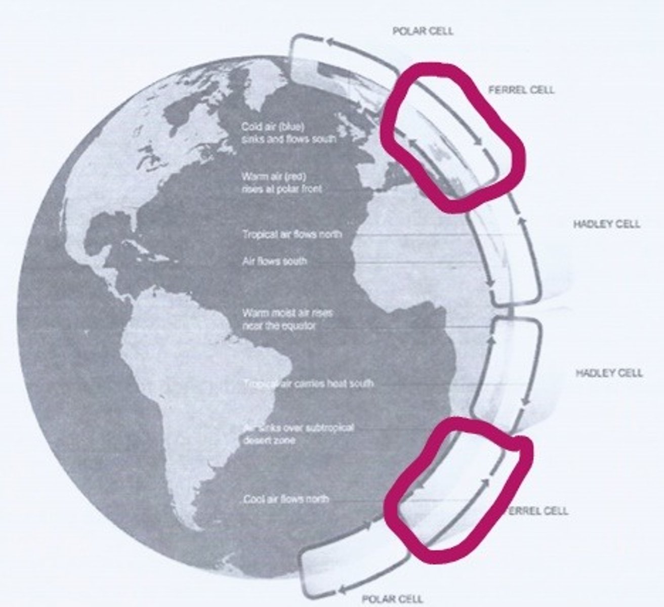 <p>between 60 and 70 degrees north and south. (it often occurs around the latitude of the UK)</p>