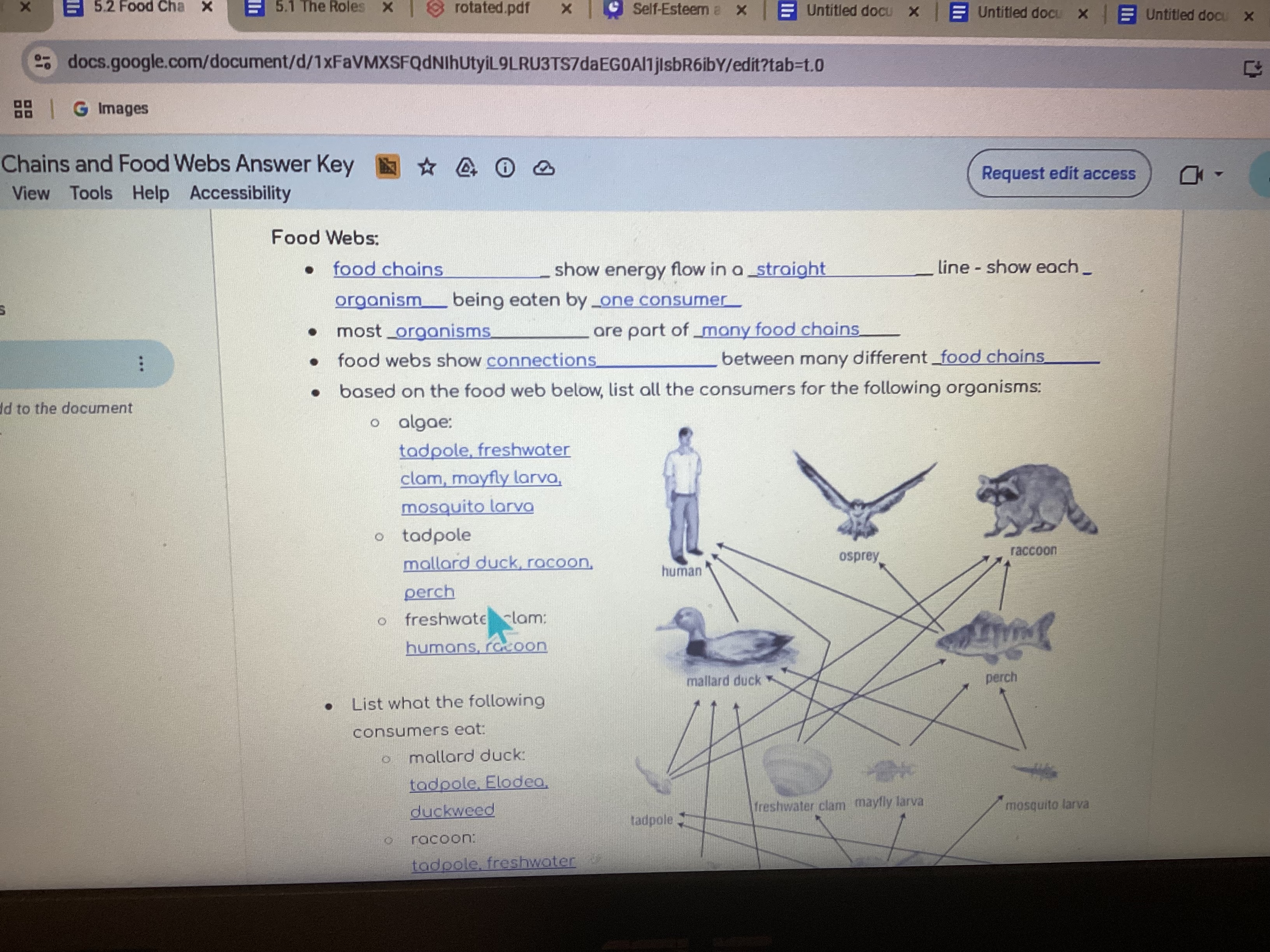 knowt flashcard image