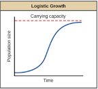 <p>Logistic Growth</p>