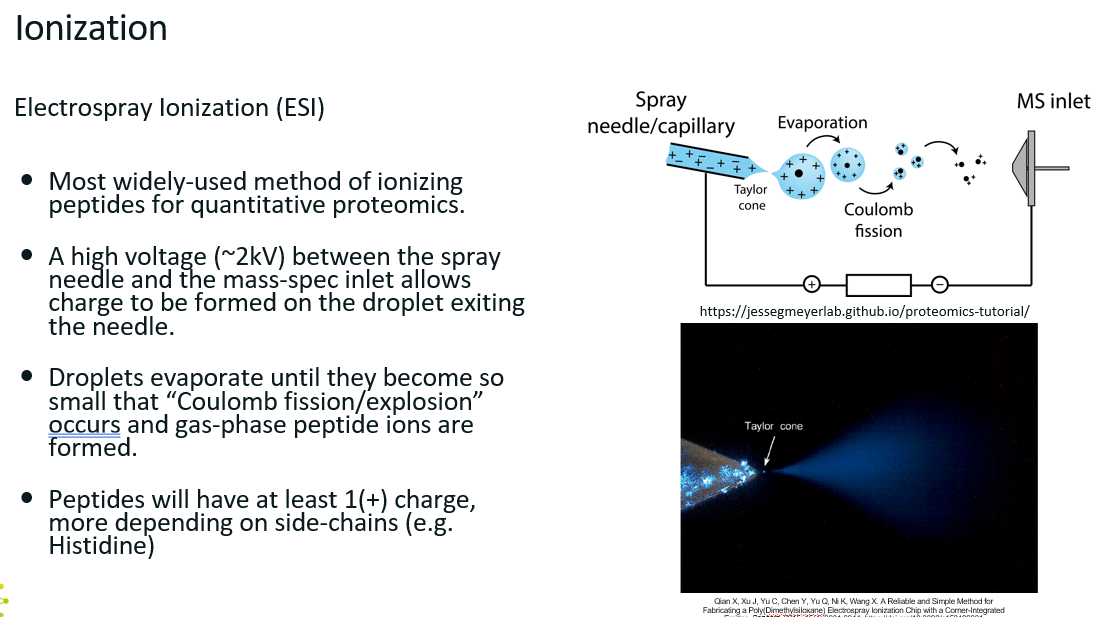 <ul><li><p>Very thin needles fused to the LC column.</p></li><li><p>As peptides exit the column, they enter the needle and travel through it.</p></li><li><p>There is a very large potential difference between the exit of the needle and the inlet of the mass spec, allows charge to be formed on the droplet exiting the needle.</p></li><li><p>Droplets evaporate until they become so small that “Coulomb fission” occurs and gas-phase peptide ions are formed</p></li></ul><p></p>