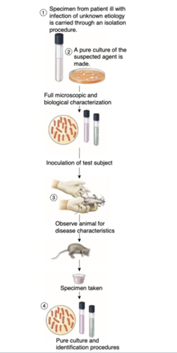 <p>1. Find evidence of a particular</p><p>microbe in every case of a</p><p>disease</p><p>2. Isolate that microbe from an</p><p>infected subject and cultivate it</p><p>artificially in the laboratory</p><p>3. Inoculate a susceptible healthy</p><p>subject with the laboratory</p><p>isolate and observe the</p><p>resultant disease</p><p>4. Reisolate the agent from this</p><p>subject</p>