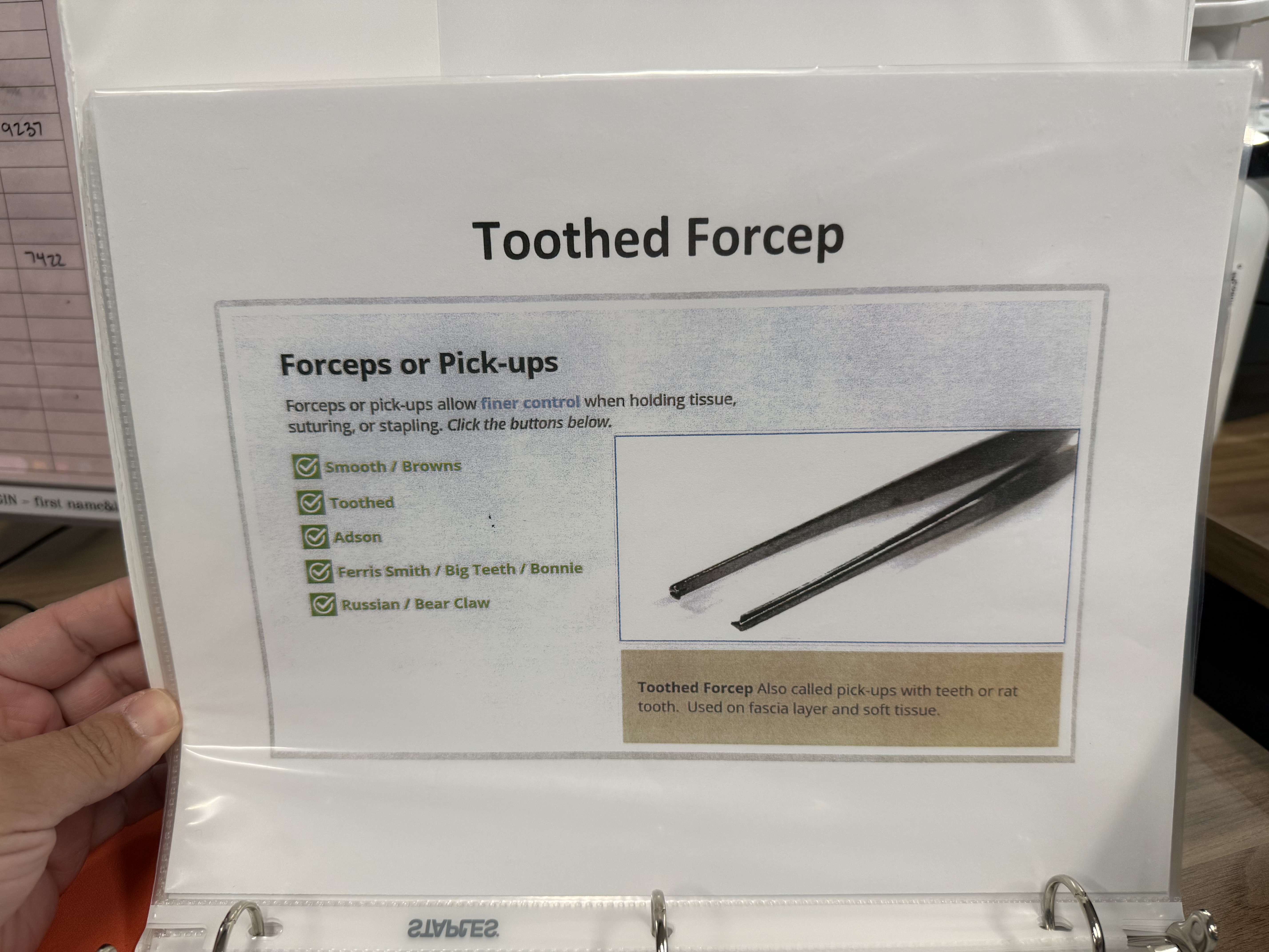 <p>Toothed Forcep</p>