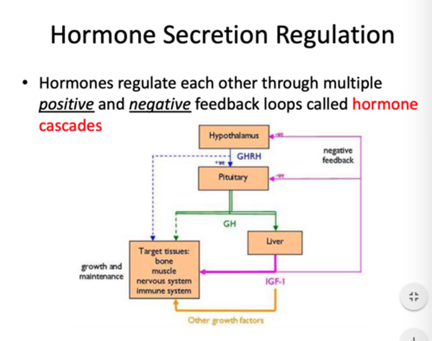 <p>1. negative feedback</p><p>- biological response suppresses hormone secretion</p><p>2. positive feedback</p><p>- needed to gather momentum for a specific outcome</p><p>(childbirth, ovulation)</p><p>3. circadian rhythms </p><p>- diurnal (daily, sleep/wake) or infradian (longer, menstrual cycle)</p>