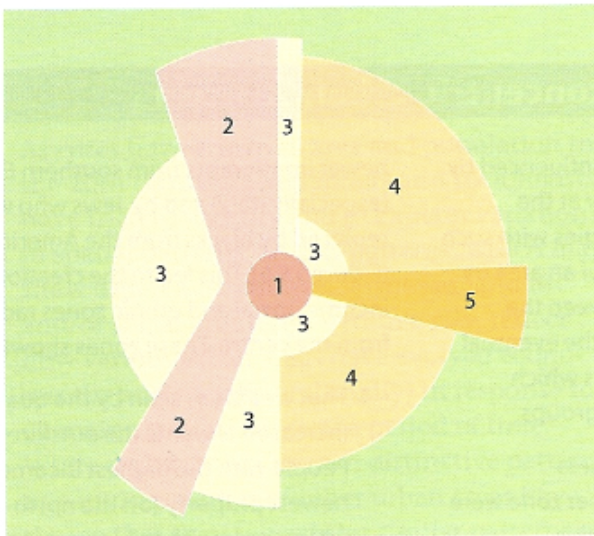 <p>Hoyt 5 zones.</p>