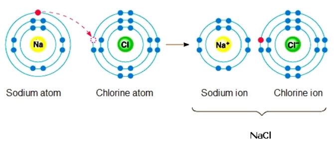 In the following reaction, has Sodium been oxidized or reduced? Has Chlorine been oxidized or reduced?