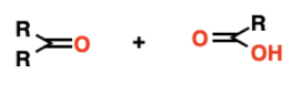 Ozonolysis
(oxidative workup)