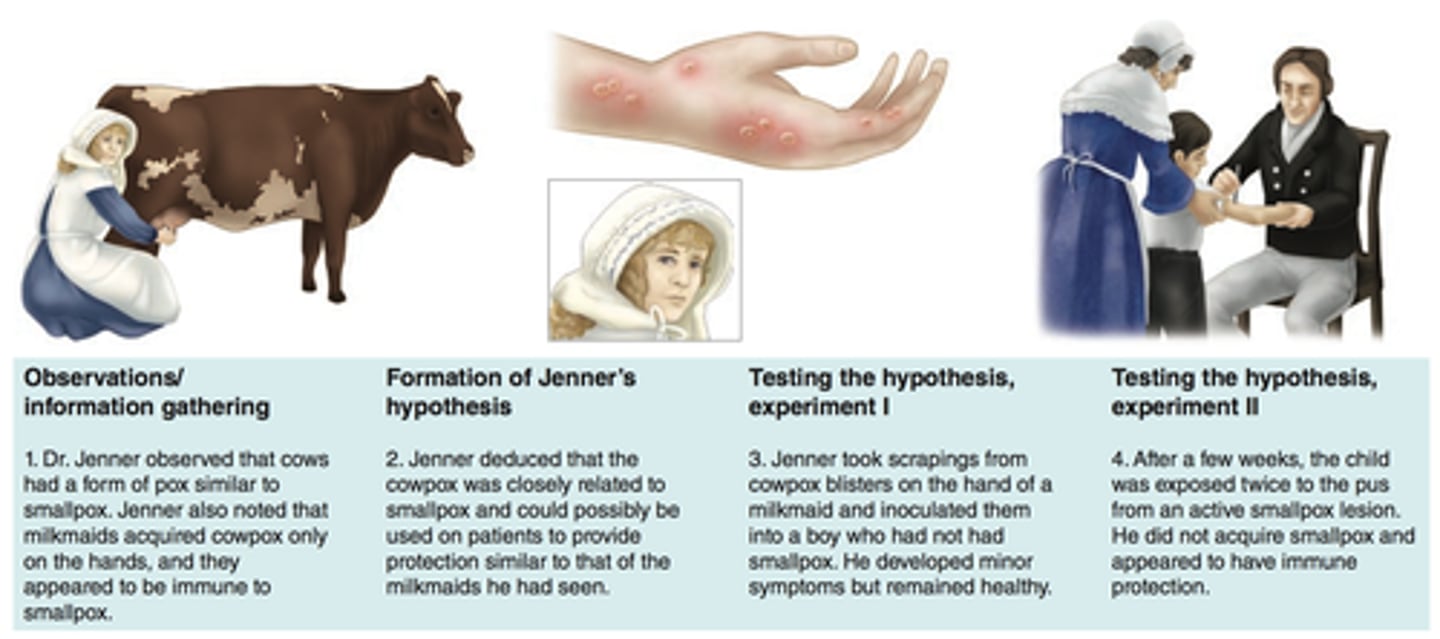 <p>inoculation of smallpox into the skin</p>