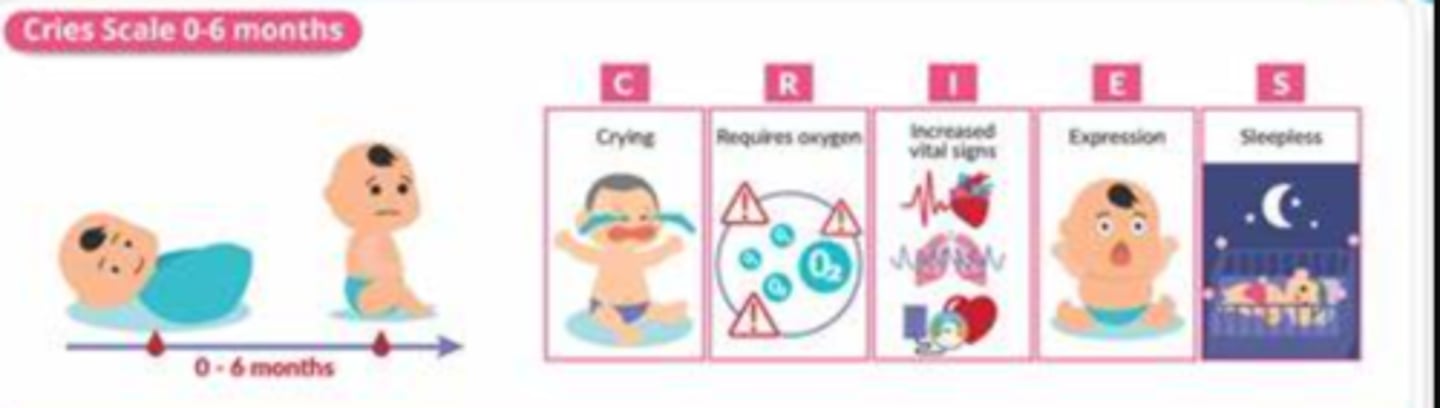 <p>A 10-point pain assessment tool designed for neonates which consists of crying, requires oxygen, increased vital signs, expression, and sleeplessness. Higher scores indicate greater pain intensity.</p>
