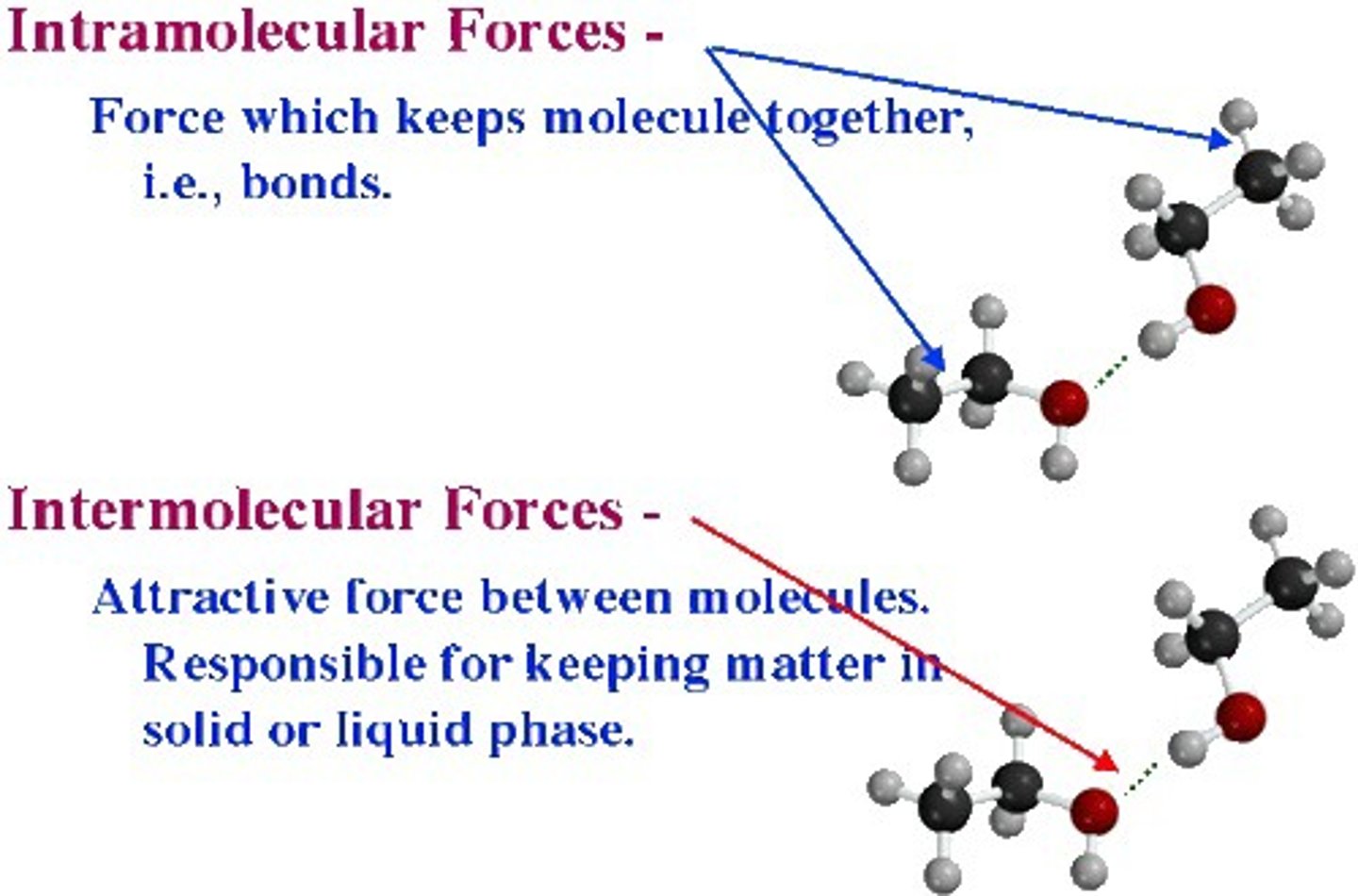 <p>Intermolecular Forces are between two difference molecules.</p><p>Intramolecular Forces are between the same molecule.</p>