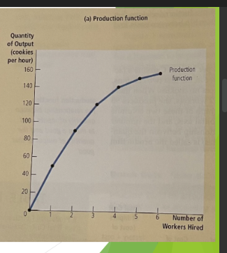 <p>shows the relationship between the quantity of inputs used to make a good and the quantity of output for that good</p>