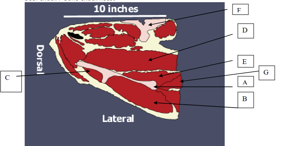 <p>G</p>