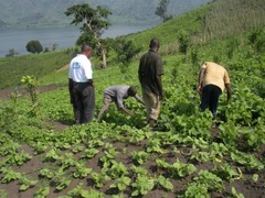 <p>the study of the interrelationship between people and their physical environment</p>