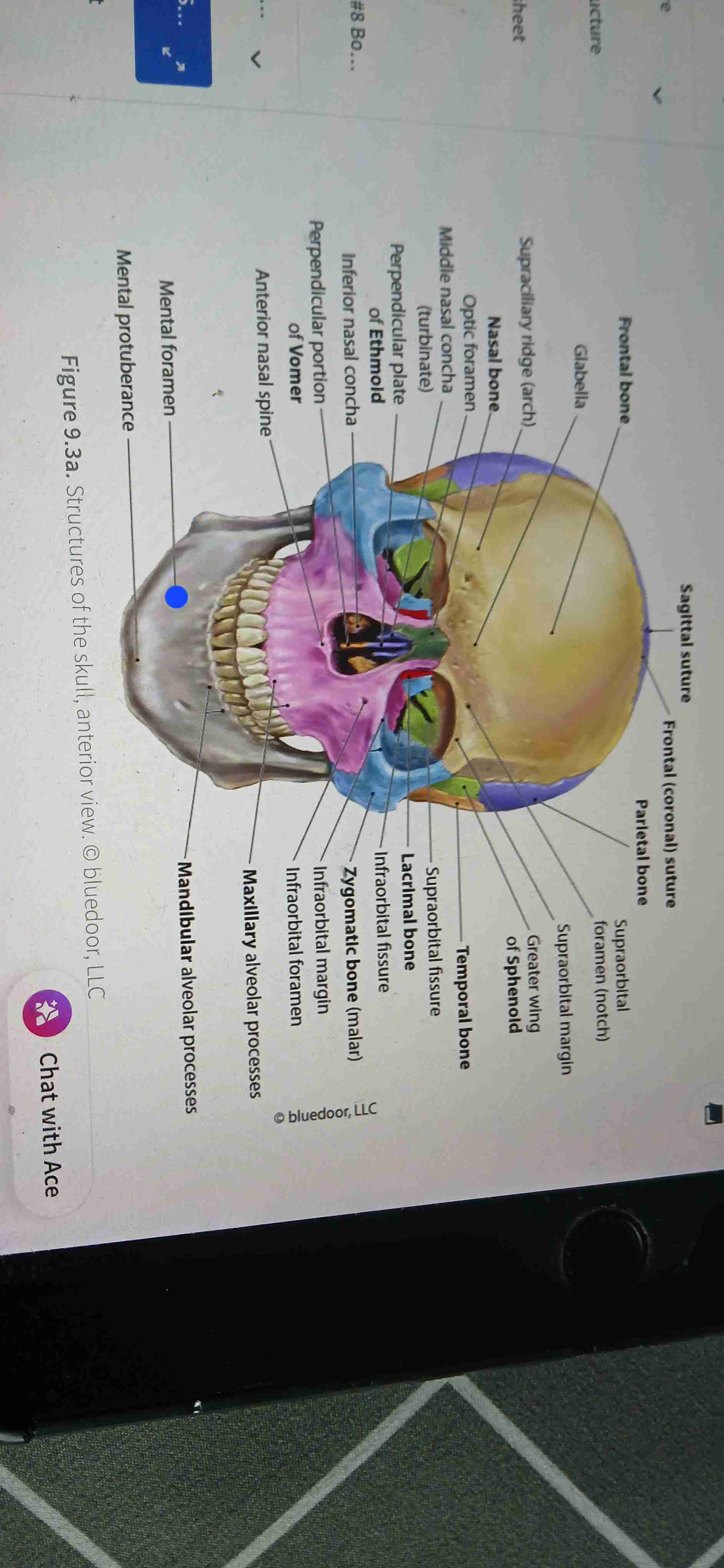 knowt flashcard image