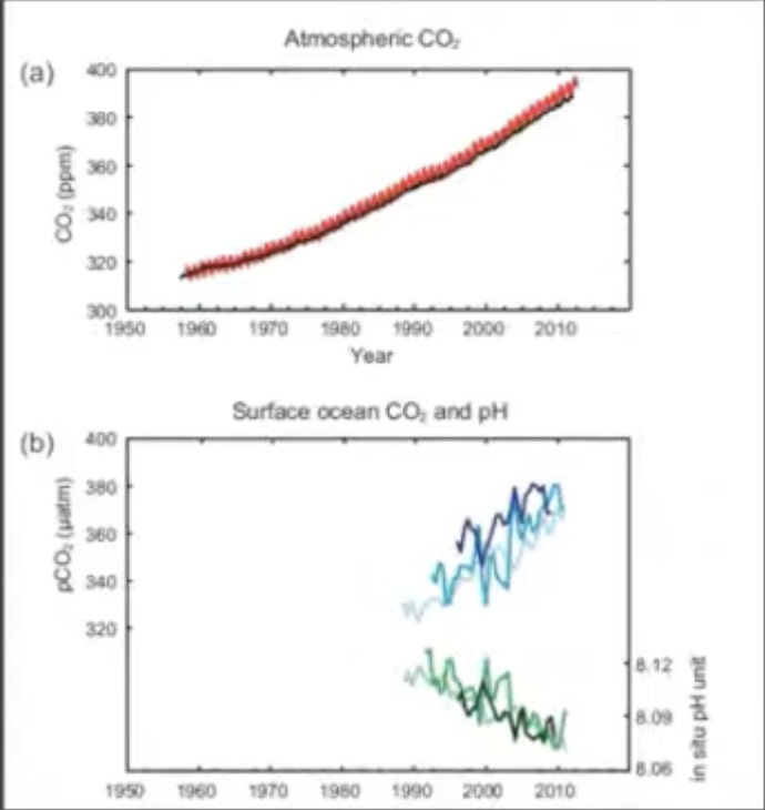 <p>Atmospheric concentrations of CO2 are increasing. The mean concentration of approximately 316 parts per million per volume (ppmv) in 1958 rose to approximately 369 ppmv in 1998.</p>