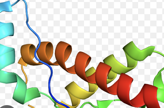 <ul><li><p>Prions (misfolded protein cause neurodegeneration)</p></li></ul><p></p>
