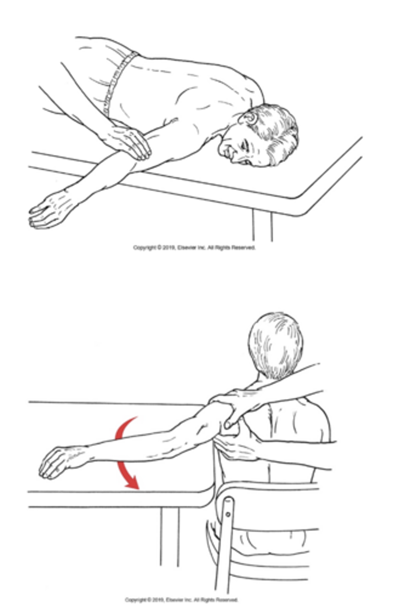 <p>What is being tested in this image?</p>