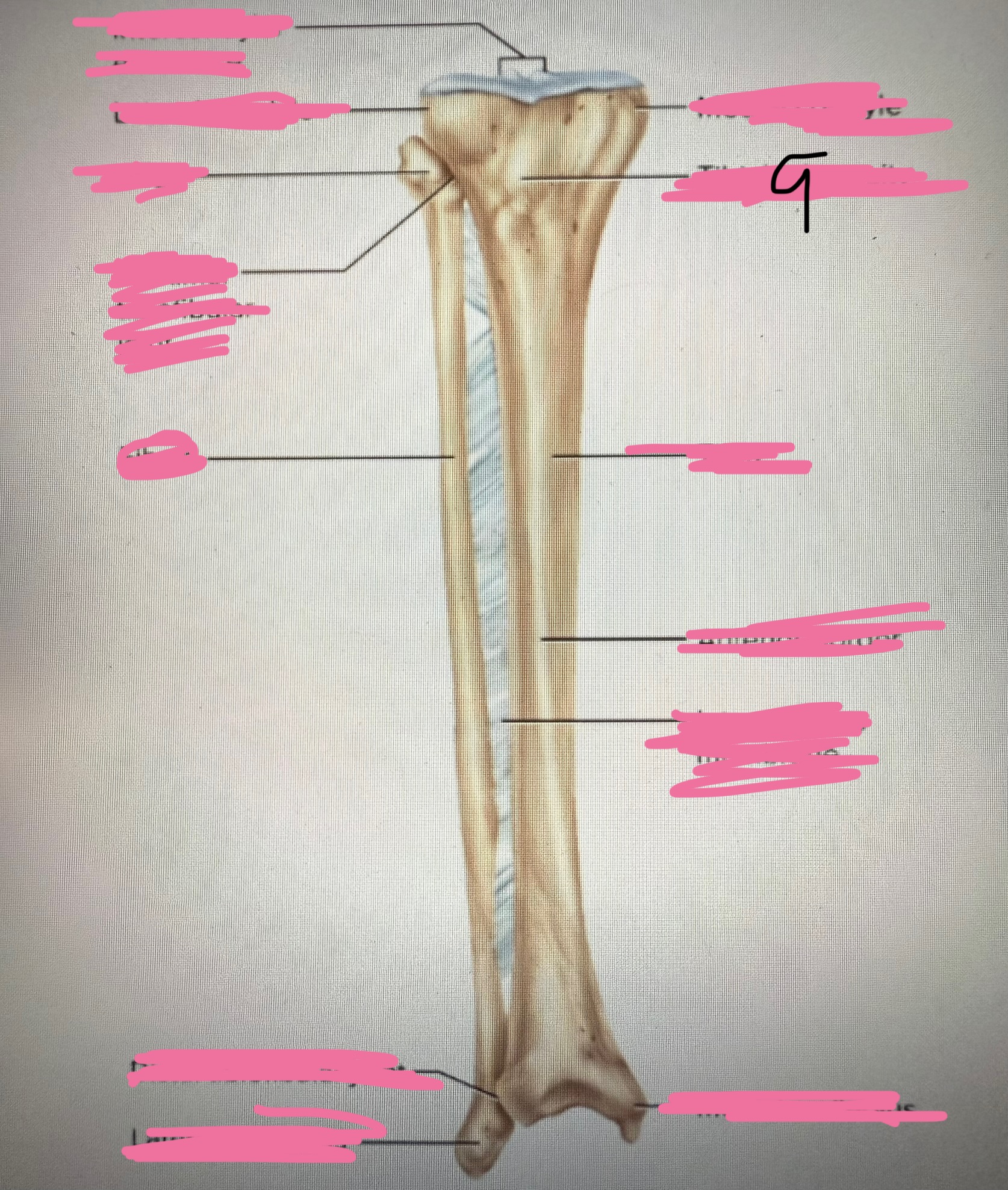<p>9</p>