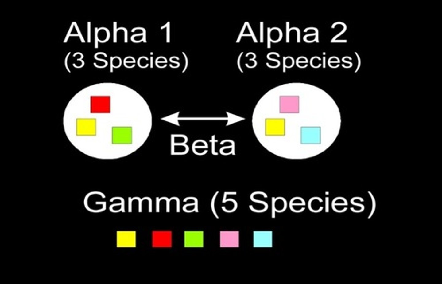 <p>regional patterns of species diversity and composition (driven by dispersal across the landscape)</p>