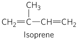 <ul><li><p>isoprene units are essential intermediates in the pathway</p></li></ul><p></p>