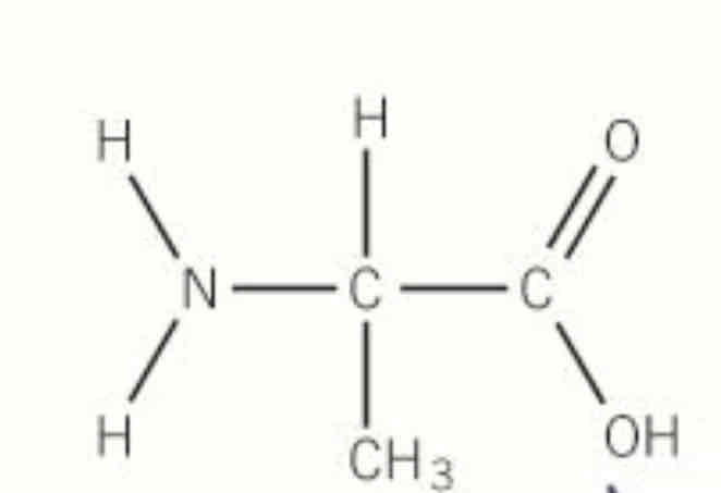 <p>draw the polymer with 3 repeat units made from this monomer </p>
