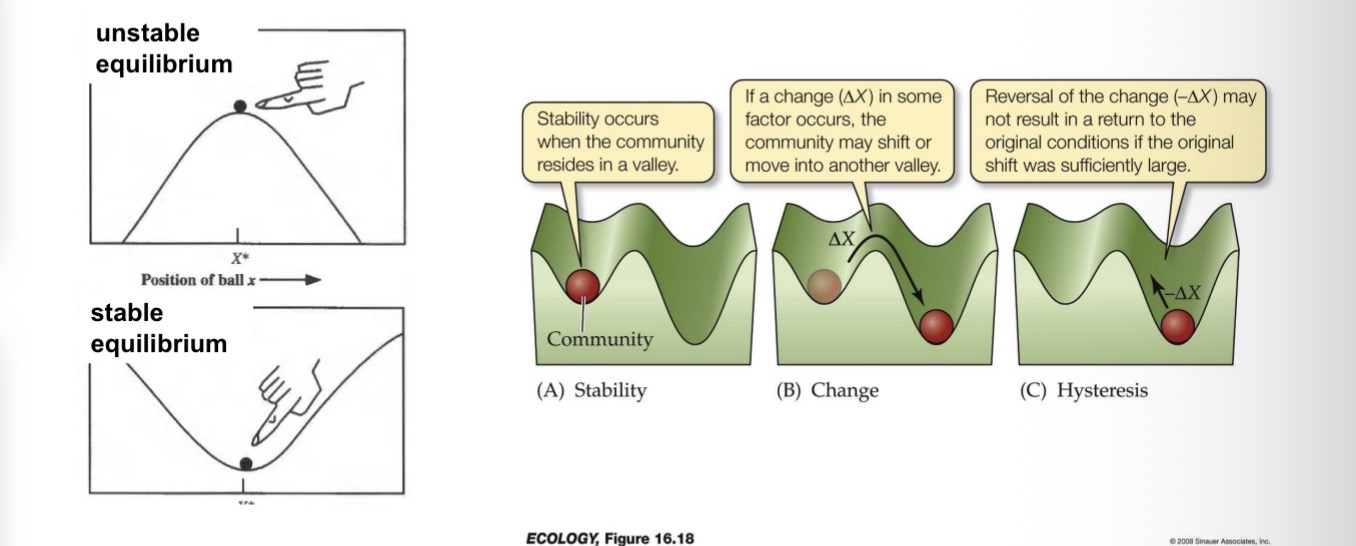 <ul><li><p>A system may have one or more stable equilibria.</p></li><li><p>We refer to a system as bistable if there are two different stable equilibria to which the system can be attracted.</p></li><li><p>Hysteresis occurs when a larger perturbation is needed to shift the system from one stable equilibrium to another than the other way round.</p></li></ul><p></p>