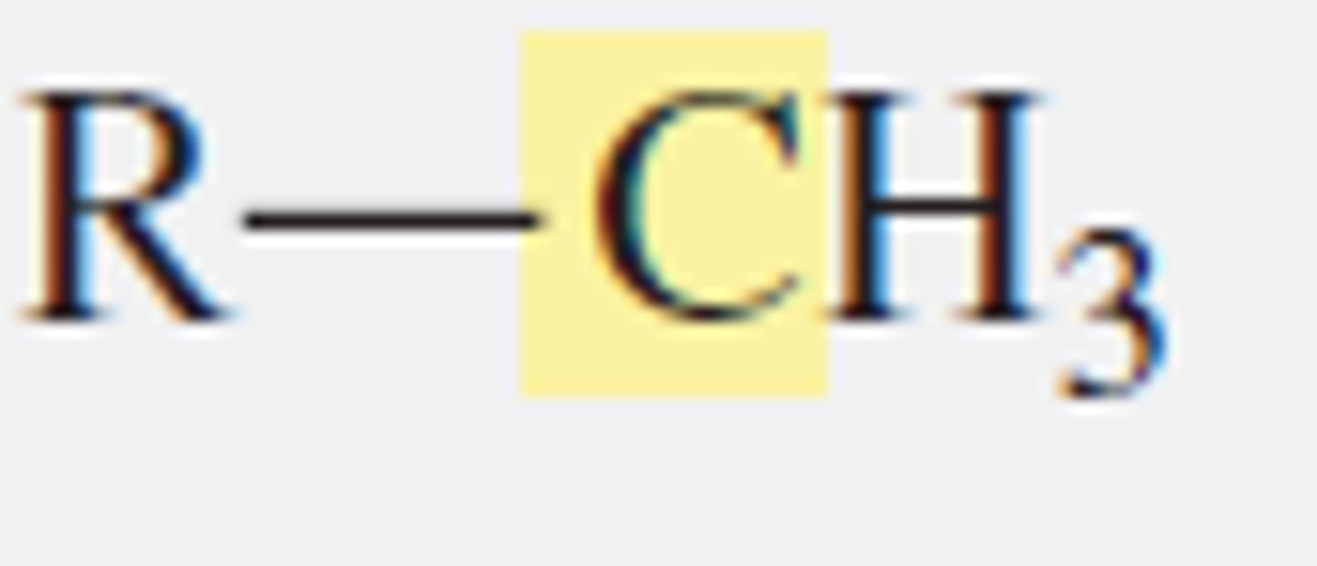 <p>alkyl group carbon</p>