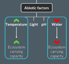 <p>increasing</p><p>increas</p><p>limiting</p><p>decrease</p><p>temperature</p><p>light</p><p>pH </p><p>water</p>
