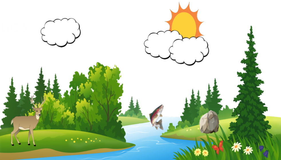 <p>Classify the items in the picture as abiotic or biotic.</p>