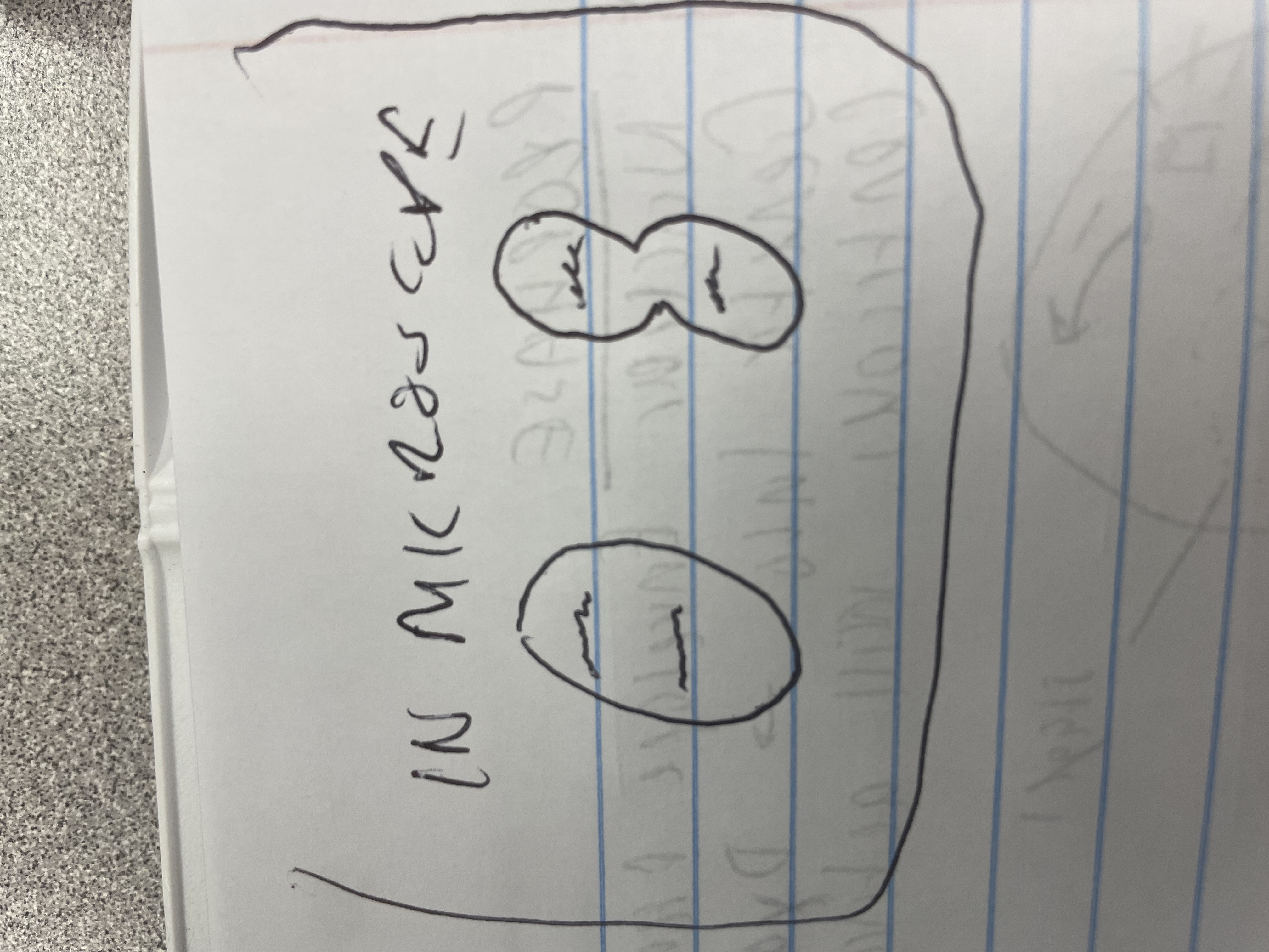 <p>Anaphase</p>