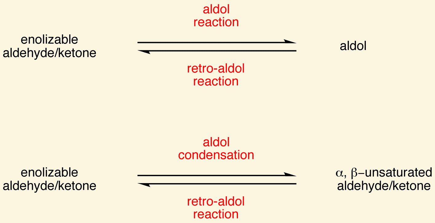 <p>reverse</p><ul><li><p>the bond between the α- and β-carbon is <strong><u>cleaved </u></strong>Catalyzed by <strong>heat</strong></p></li></ul><p></p>