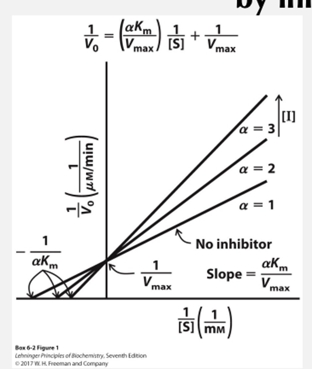 <p>You Km will increase</p><p>Vmax will stay the same</p>