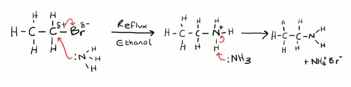 <p>Name of mechanism: Nucleophilic substitution</p><p>Reagents: Ammonia</p><p>Conditions: Heated under pressure, excess ammonia, ethanolic</p>