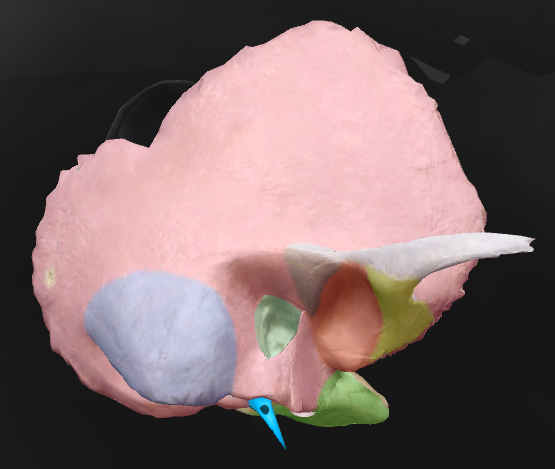 term image