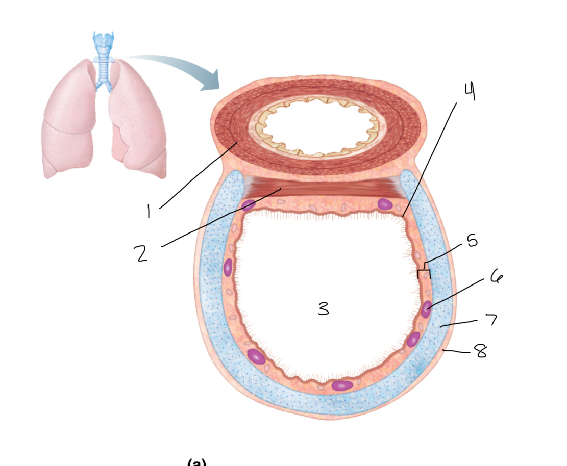 <p>1</p>