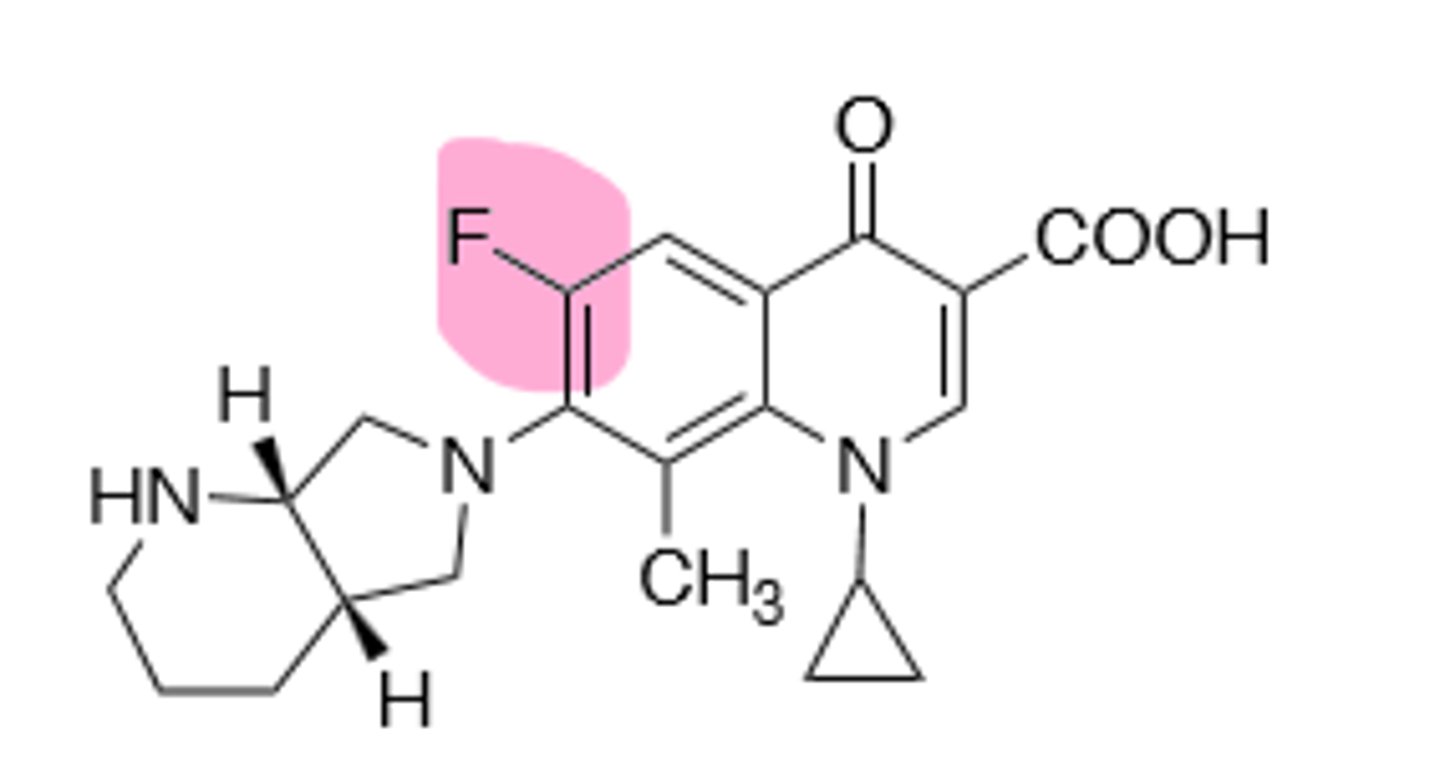 <p>Fourth generation quinolone, considered a drug of last resort due to toxic side effects, improved activity against gram (+), but still hits gram (-). Inhibits DNA gyrase and topoisomerase IV in bacterial DNA production. Rare hallucinations, delirium, and sezirues in patients also taking NSAIDs and theophylline, don't give under the age of 18 due to growing tendons, risk of tendon rupture main resistance is point mutations in A and B subunit of DNA gyrase, leading to decreased binding affinity of quinolones to DNA gyrase.</p>