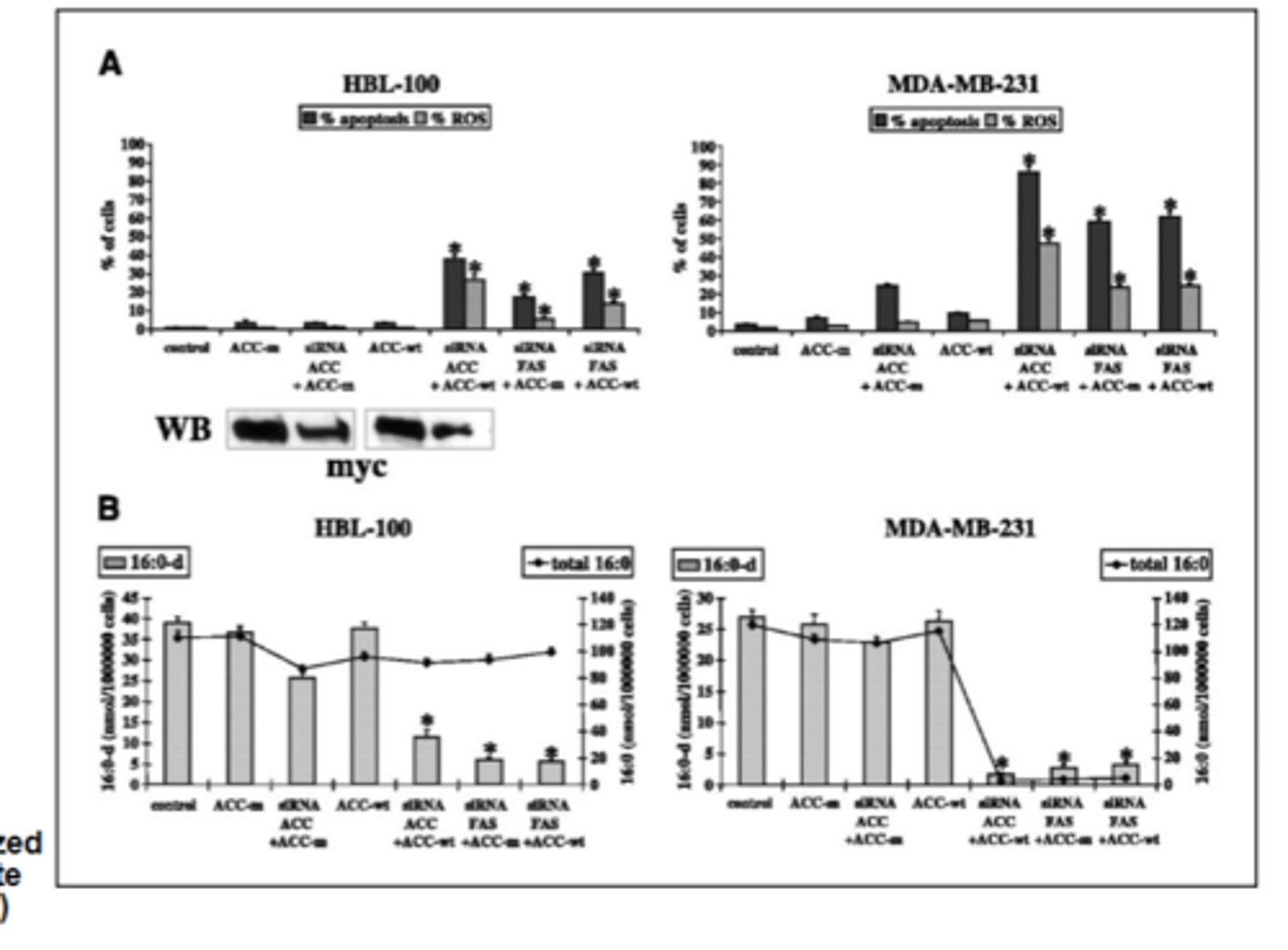 <p>The main takeaway from this figure is that when using the siRNA for ACC on a mutant gene for ACC, the effects from the siRNA are ______________(present/not present), meaning that the effects from the siRNA are specifically targeting _________ and not some other molecule or confounding variable</p>
