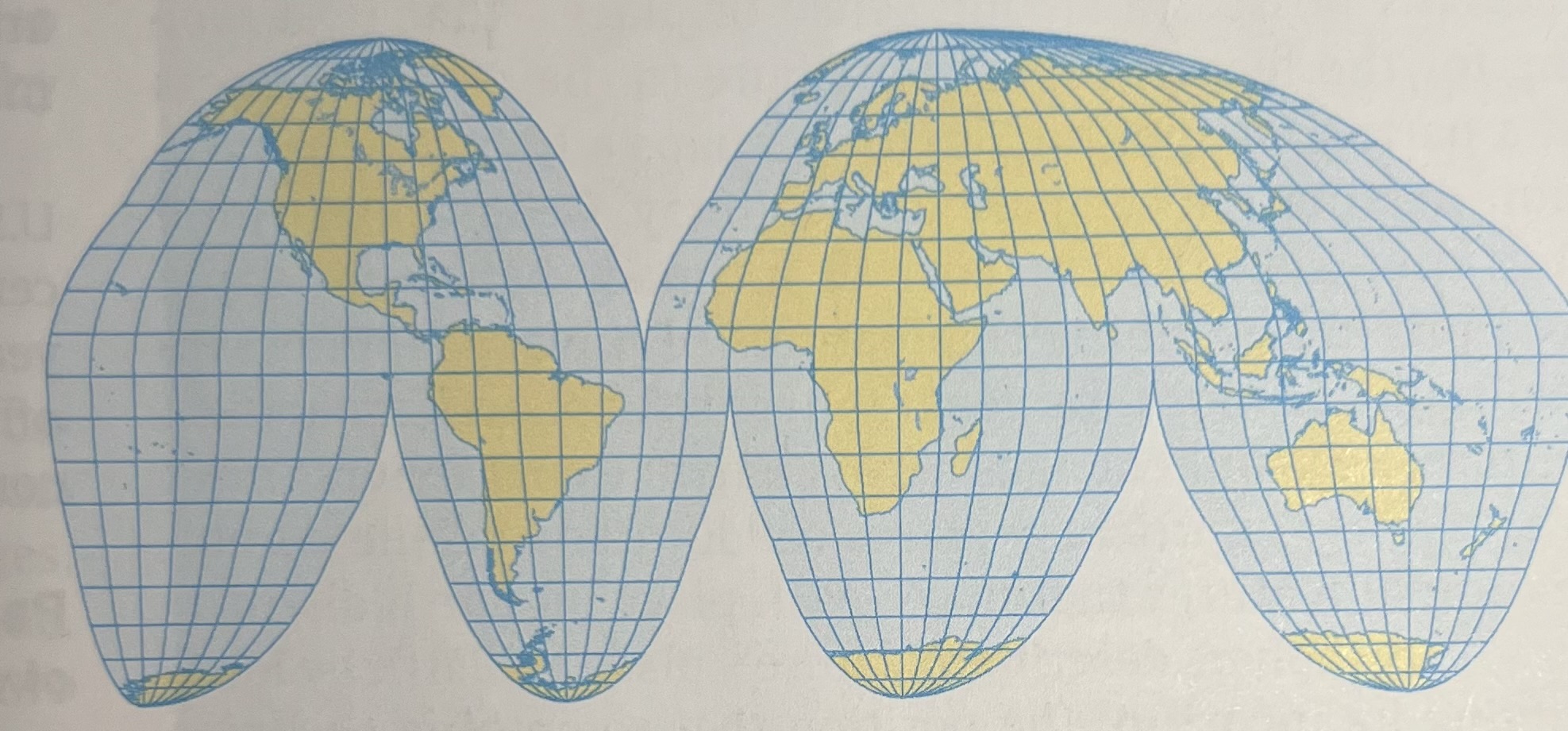 <p>Name this projection &amp; distortions</p>
