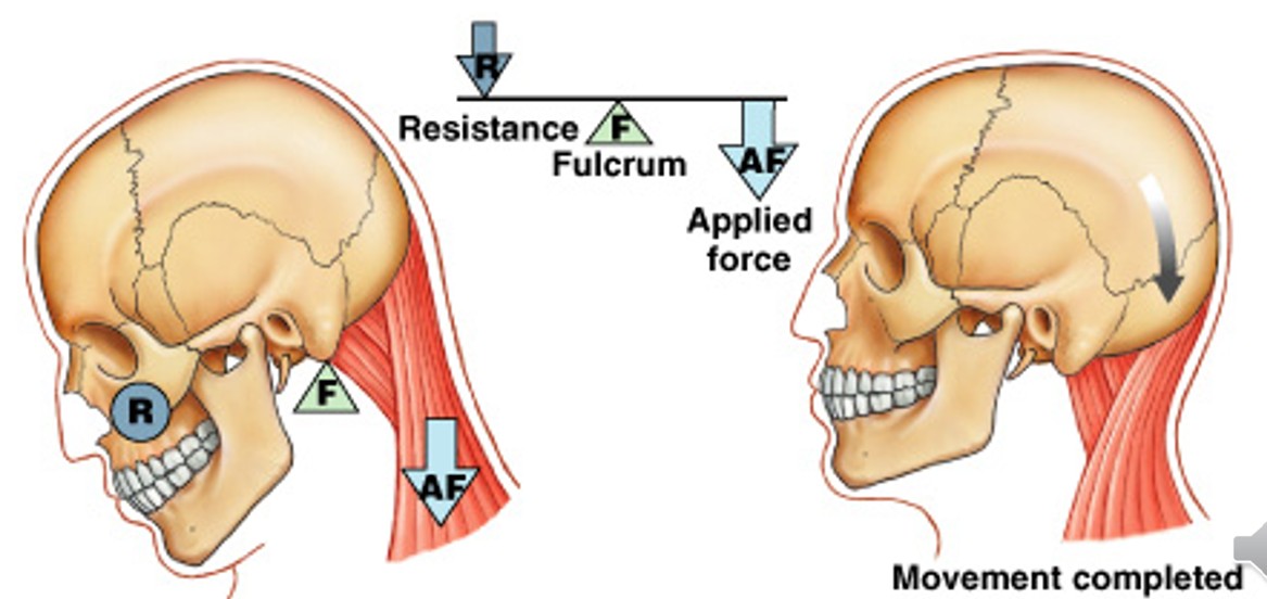 <p>Which class of levers have:</p><ul><li><p>Seesaw is an example</p></li><li><p>Center fulcrum between applied force and resistance</p></li><li><p>Force and resistance are balanced</p></li></ul><p></p>