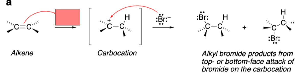 <p>Electrophilic addition without electron withdrawing groups</p>