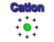 <p>any atom or group of atoms that has a positive negative charge</p>