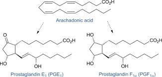 <p><span>a family of lipid signaling molecules derived from 20-carbon polyunsaturated fatty acids, primarily arachidonic acid</span></p><p></p>