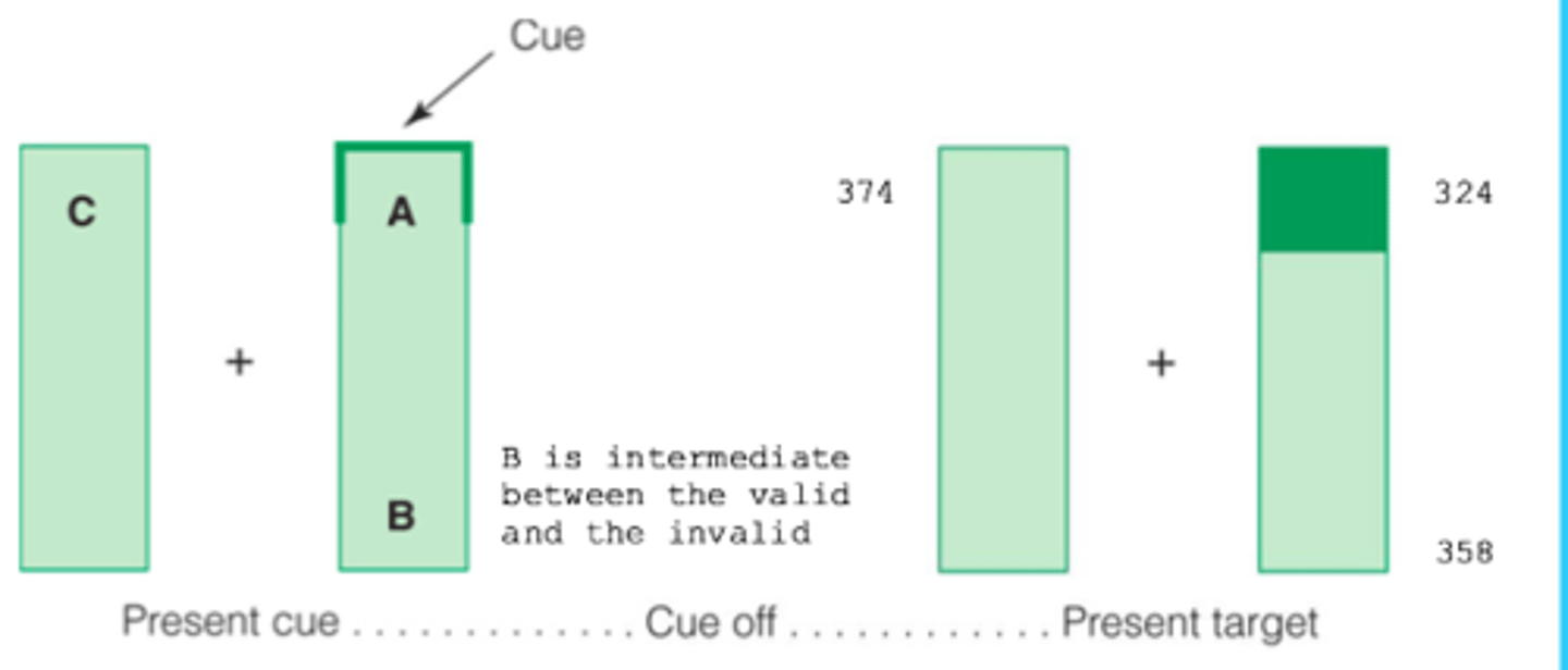 <p>The mean response times as a function of target location were recorded.</p><p>the cost having an invalid cue on the wrong object is higher than having an cue on the wrong location on the same object.</p>