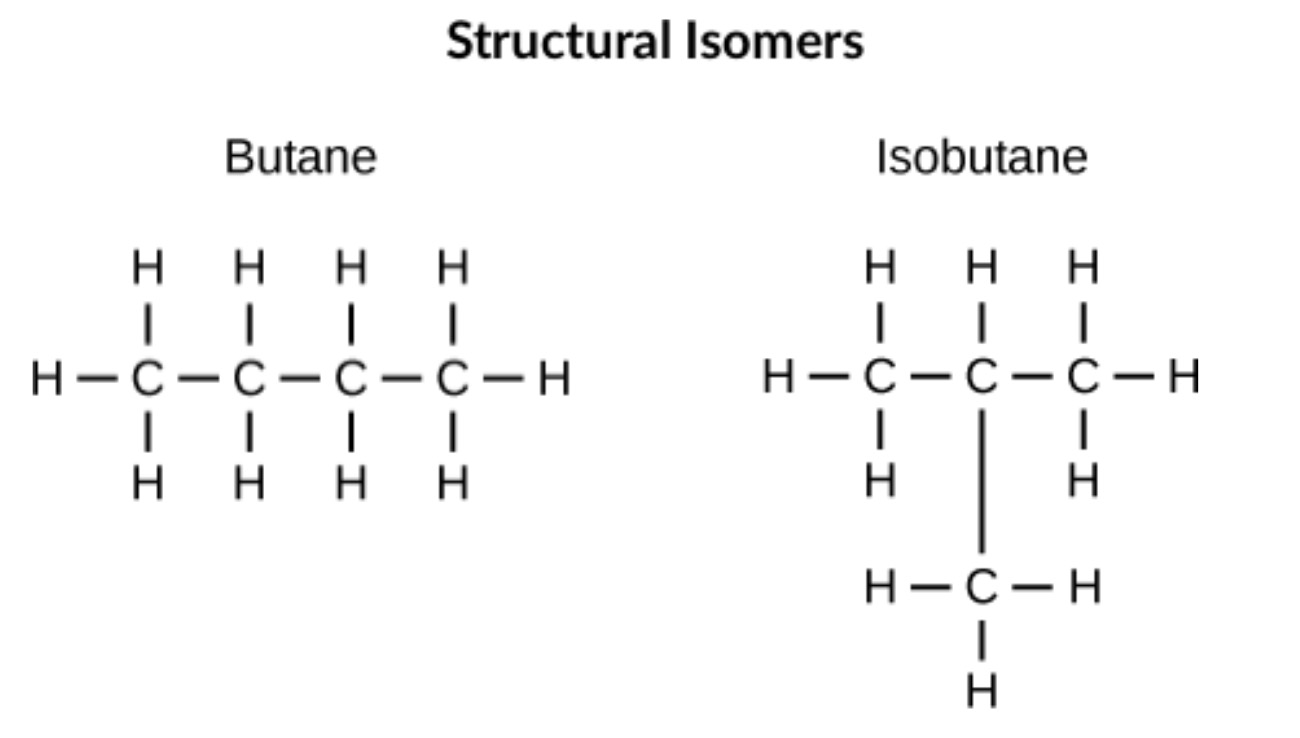 <p>Differ in arrangement of atoms</p>