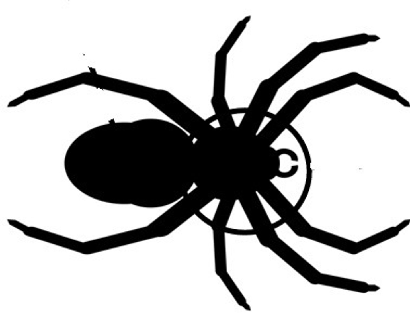 <p>A body region in some arthropods consisting of a fused head and thorax.</p>