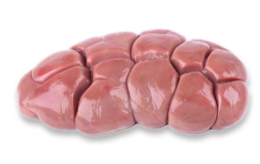 <p>Name: Kidney<br>Primal: Kidney<br>Features: lobulated, ureter removed, bulk packed</p>