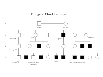 <p>Pedigrees track traits across generations using <strong>Mendelian ratios</strong> to find inheritance patterns.</p><ul><li><p><strong>Generations:</strong> Roman numerals (I, II, III …)</p></li><li><p><strong>Individuals:</strong> Arabic numbers (1, 2, 3 …); e.g., proband = II-2</p></li><li><p><strong>Symbols:</strong></p><ul><li><p><span data-name="male" data-type="emoji">♂</span> unaffected = clear square</p></li><li><p><span data-name="male" data-type="emoji">♂</span> affected = filled square</p></li><li><p><span data-name="male" data-type="emoji">♂</span> heterozygous = half-filled/marked square (~)</p></li><li><p><span data-name="female" data-type="emoji">♀</span> unaffected = clear circle</p></li><li><p><span data-name="female" data-type="emoji">♀</span> affected = filled circle</p></li><li><p><span data-name="female" data-type="emoji">♀</span> heterozygous = half-filled/marked circle (~)</p></li><li><p>Adopted = [ ]</p></li><li><p>Deceased = symbol crossed out</p></li><li><p>Gender neutral = diamond <span data-name="diamonds" data-type="emoji">♦</span></p></li></ul></li></ul><p></p>